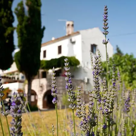 Pape Guest house Punat